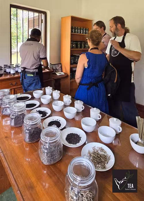 Tea Taster's House gallery photo 84